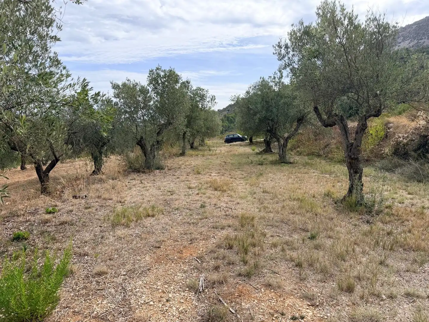 Residencial en venta en Fageca, Alicante