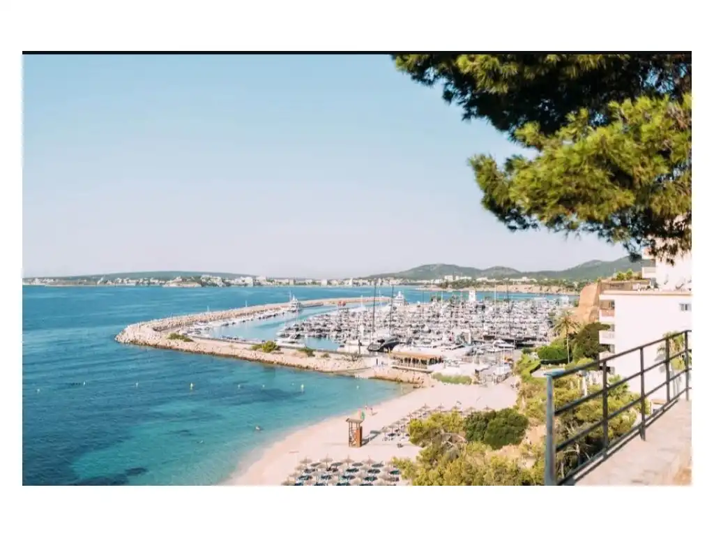 Exterior view of Flat for rent in Calvià  with Furnished