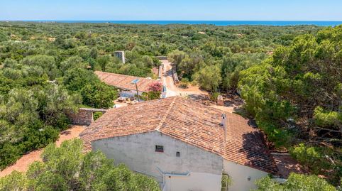 Foto 3 de Finca rústica en venda a Sant Climent - Es Canutells, Maó - Mahón