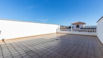 Terrace of House or chalet for sale in Láchar  with Terrace