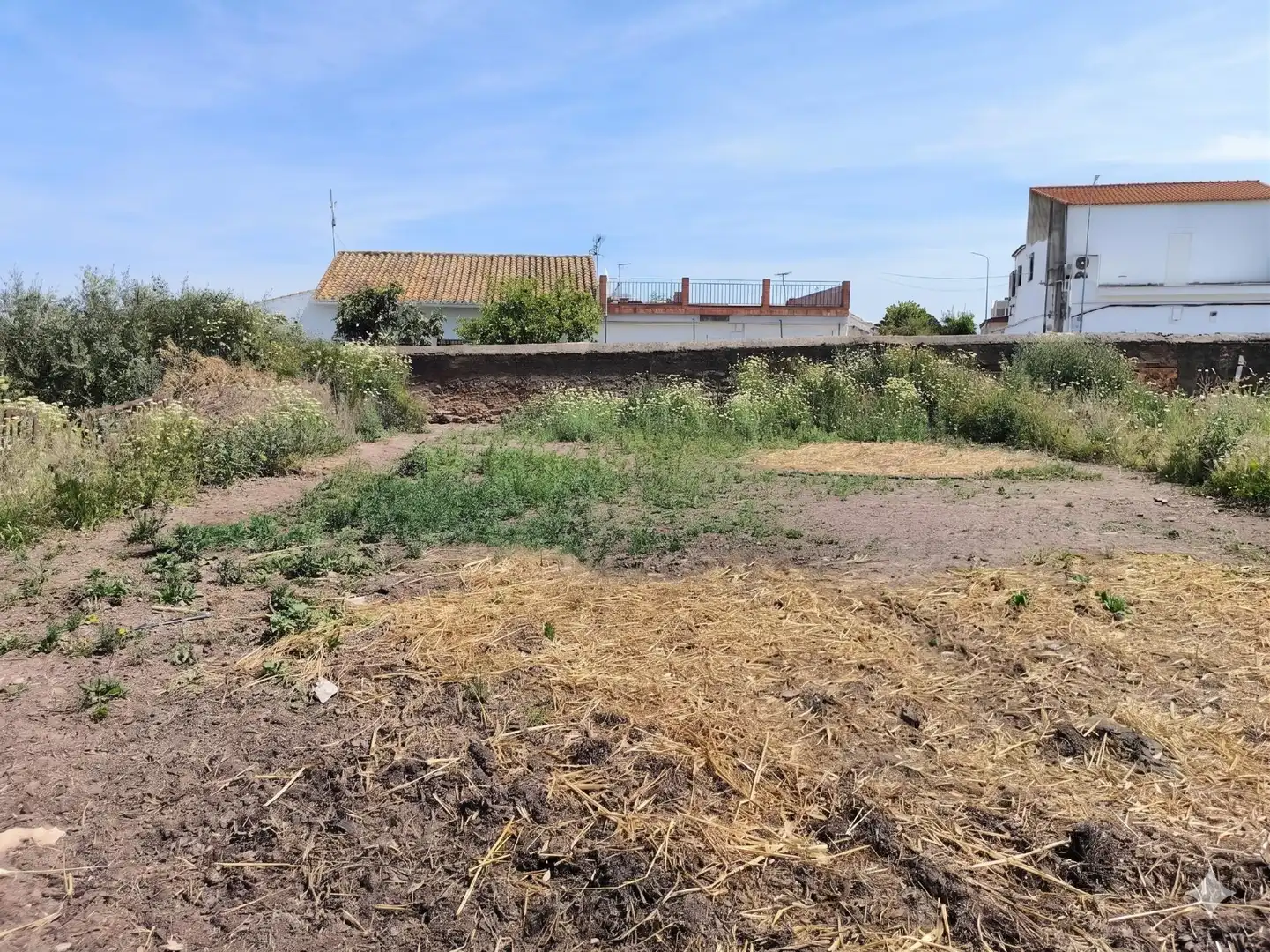 Residential land for sale in Calle Don Pedro Donaire, imagen 2