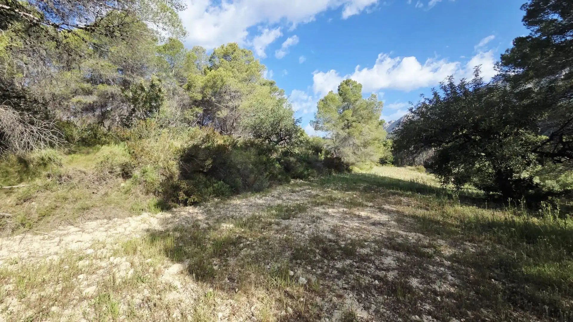 Grundstücke und Bauplätze zum Verkauf in El Castell de Guadalest, imagen 17