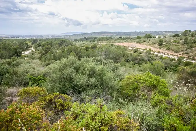 Rural land for sale in C/ Puntiro, imagen 17