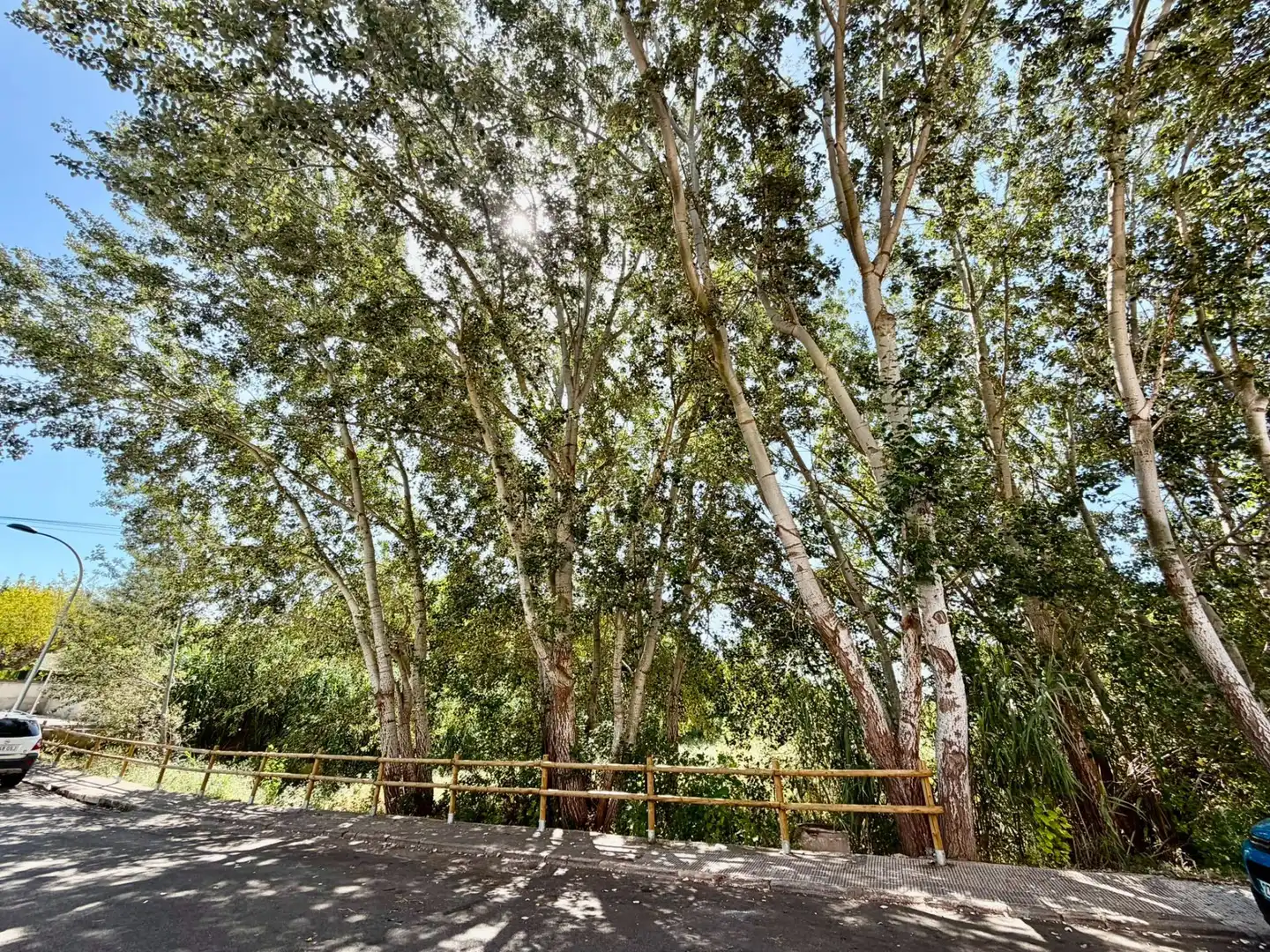 Vista exterior de Pis en venda en La Pobla de Montornès   amb Calefacció, Terrassa i Piscina comunitària