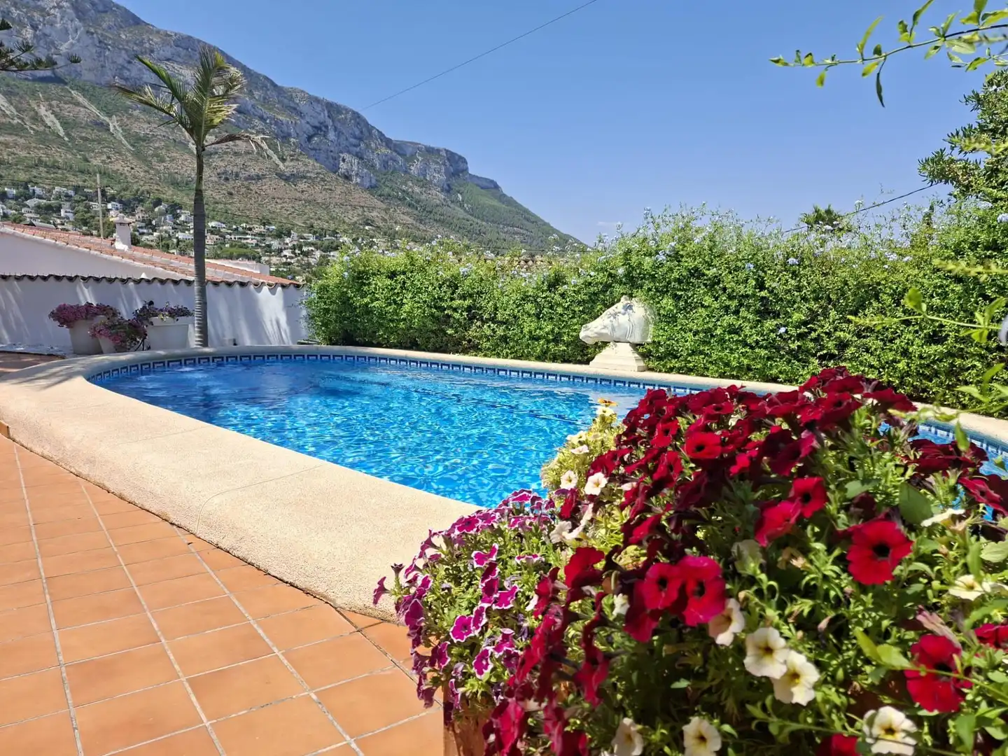 Swimming pool of Houses for sale in Dénia