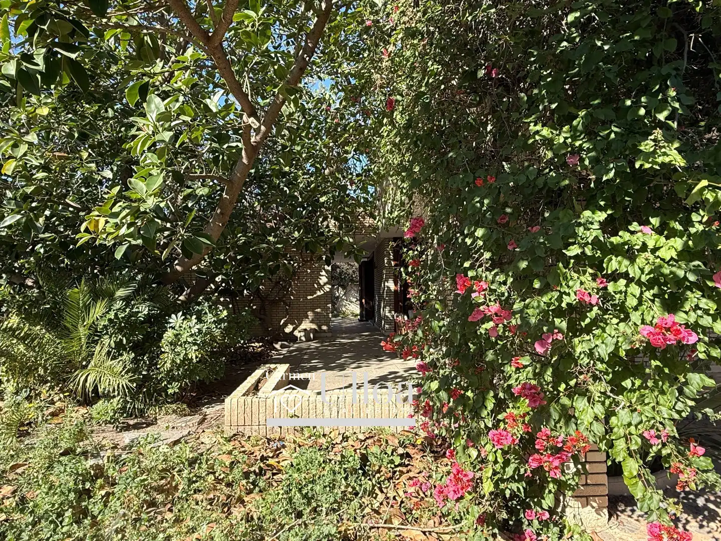 Jardí de Casa o xalet en venda en Alicante / Alacant amb Aire condicionat, Jardí privat i Terrassa