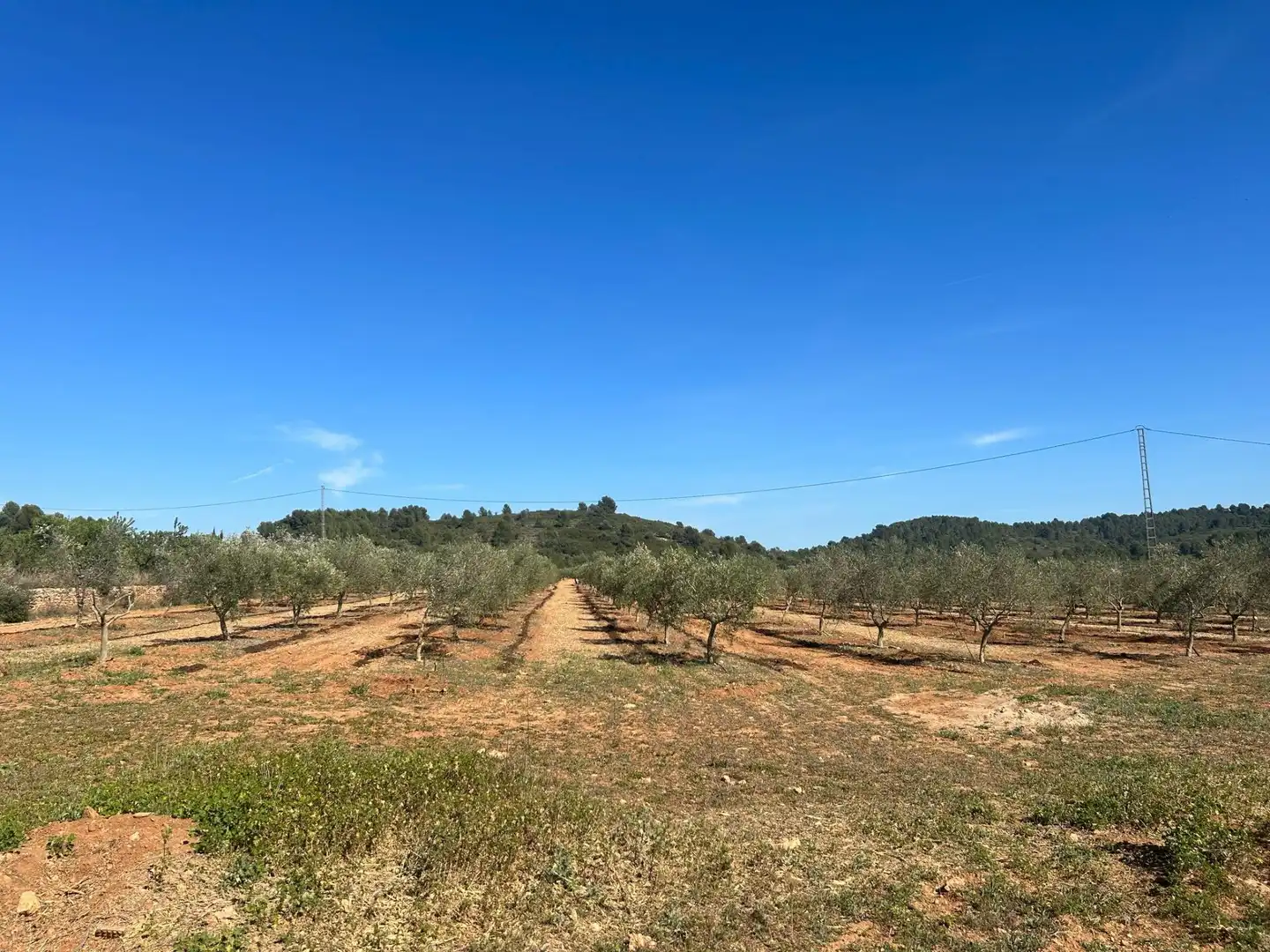 Terreno en venta en BARONA, Vall d'Alba