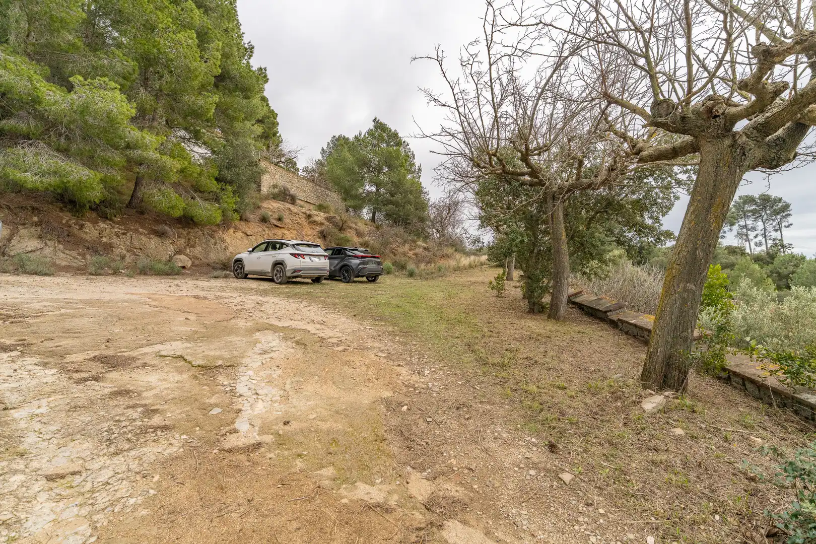 Aparcament de Finca rústica en venda en Les Borges del Camp amb Jardí privat, Terrassa i Traster