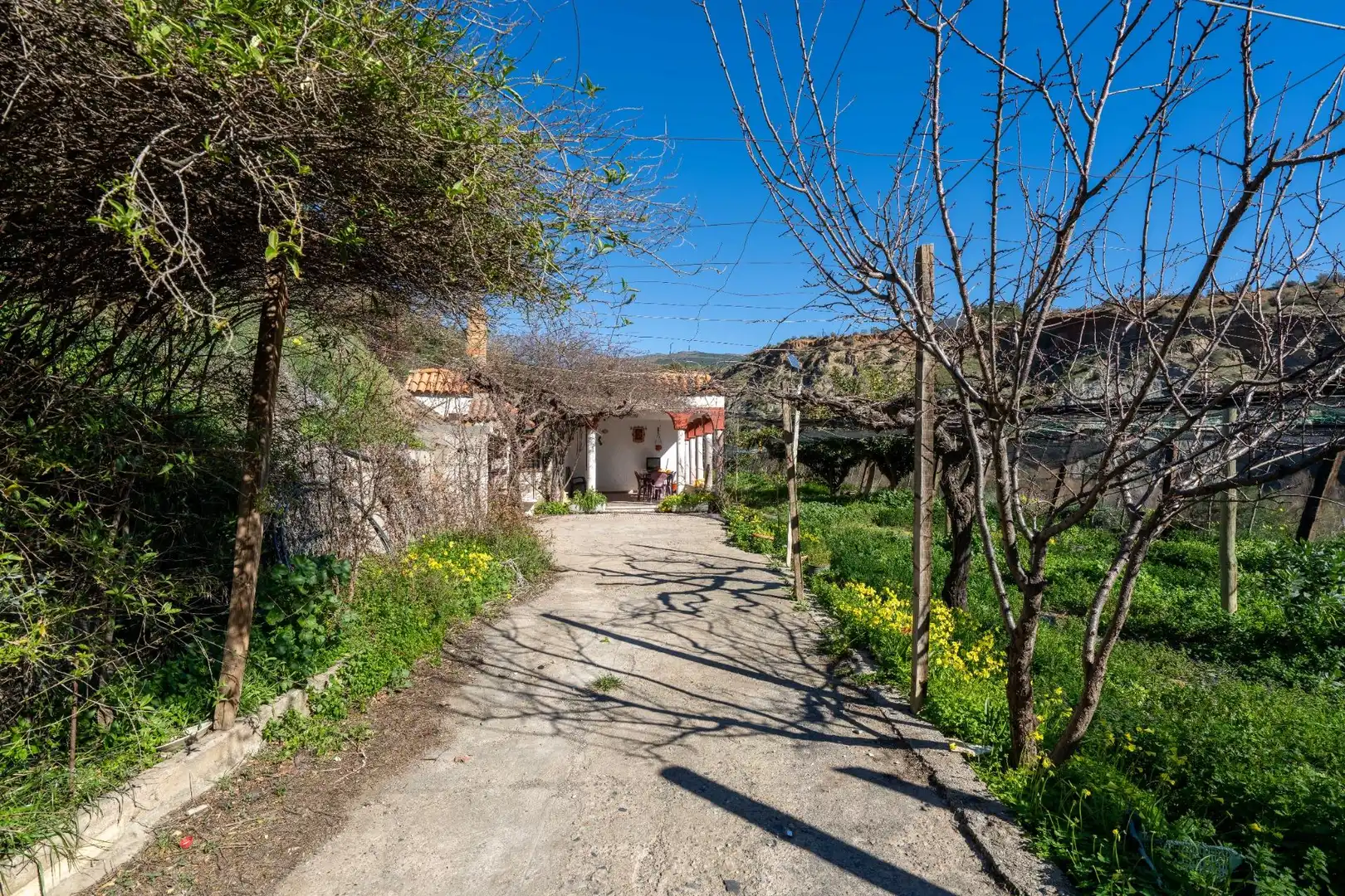 Casa rústica en venda a Canjáyar, imagen 61