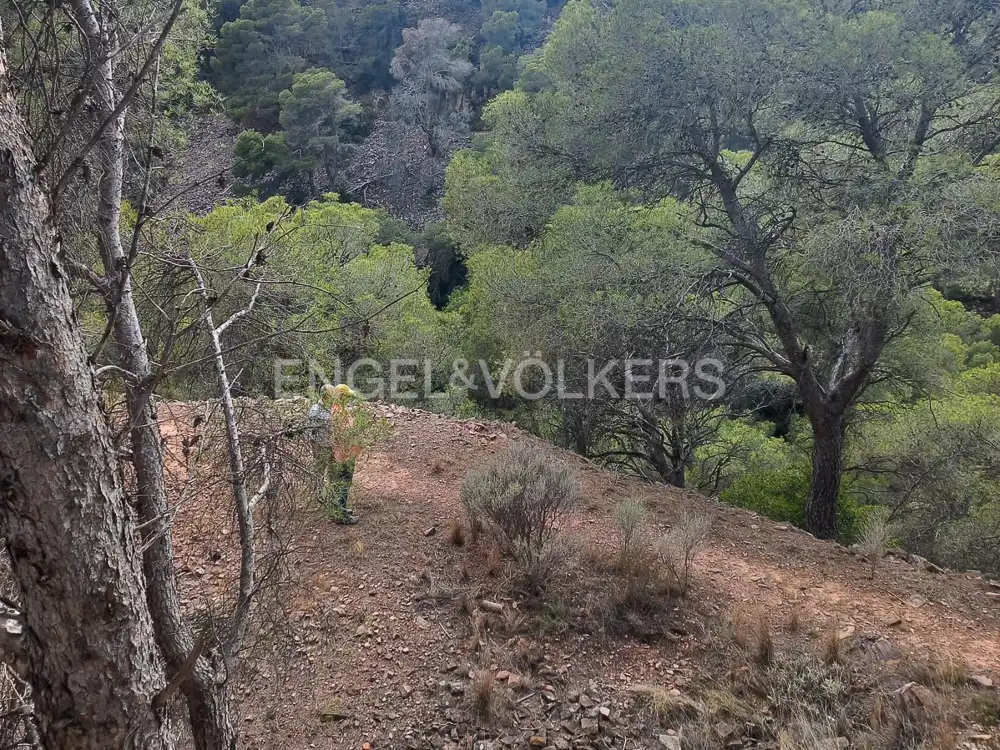 Lands and plots for sale in Serra, imagen 18