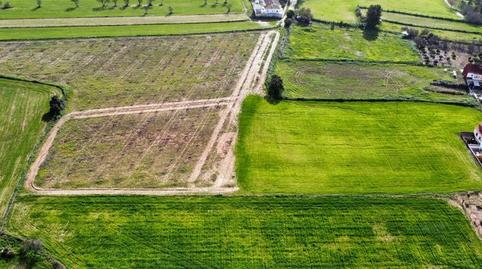 Foto 5 de Terreno en venta en Carretera Sc Subs, Carrión de los Céspedes, Sevilla
