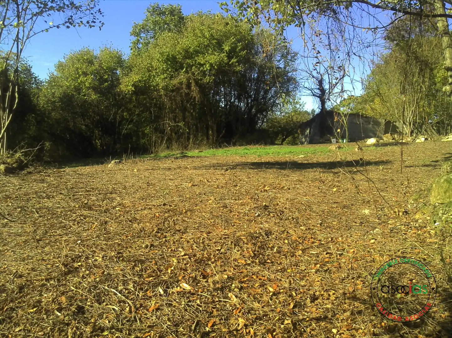 Terreno rustico in vendita a Gijón - BARRIO SAN PELAYO - CALDONES, imagen 16