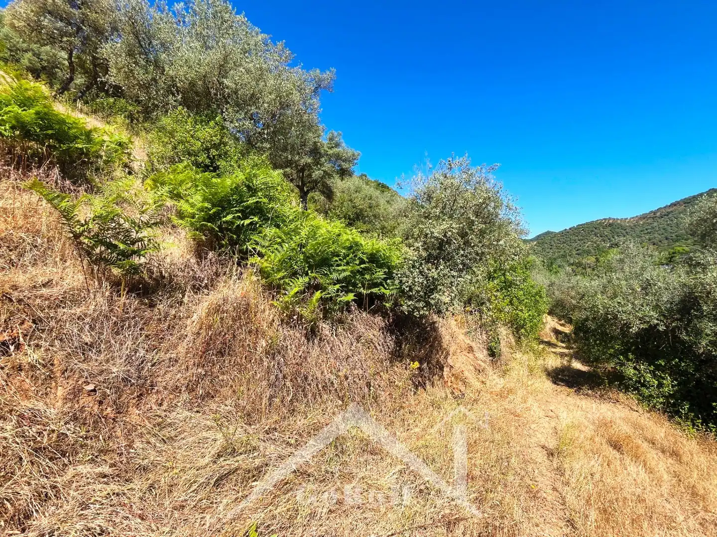 Grundstücke zum Verkauf in Constantina
