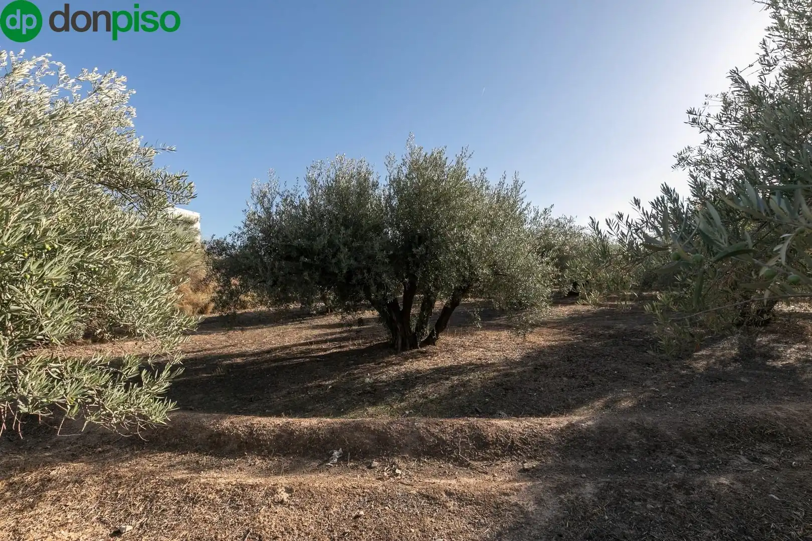 Terreno residencial en venta en Calle LOS JUNCOS, imagen 28