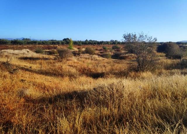 Terreno residencial en Venta en Navalvillar de Pela