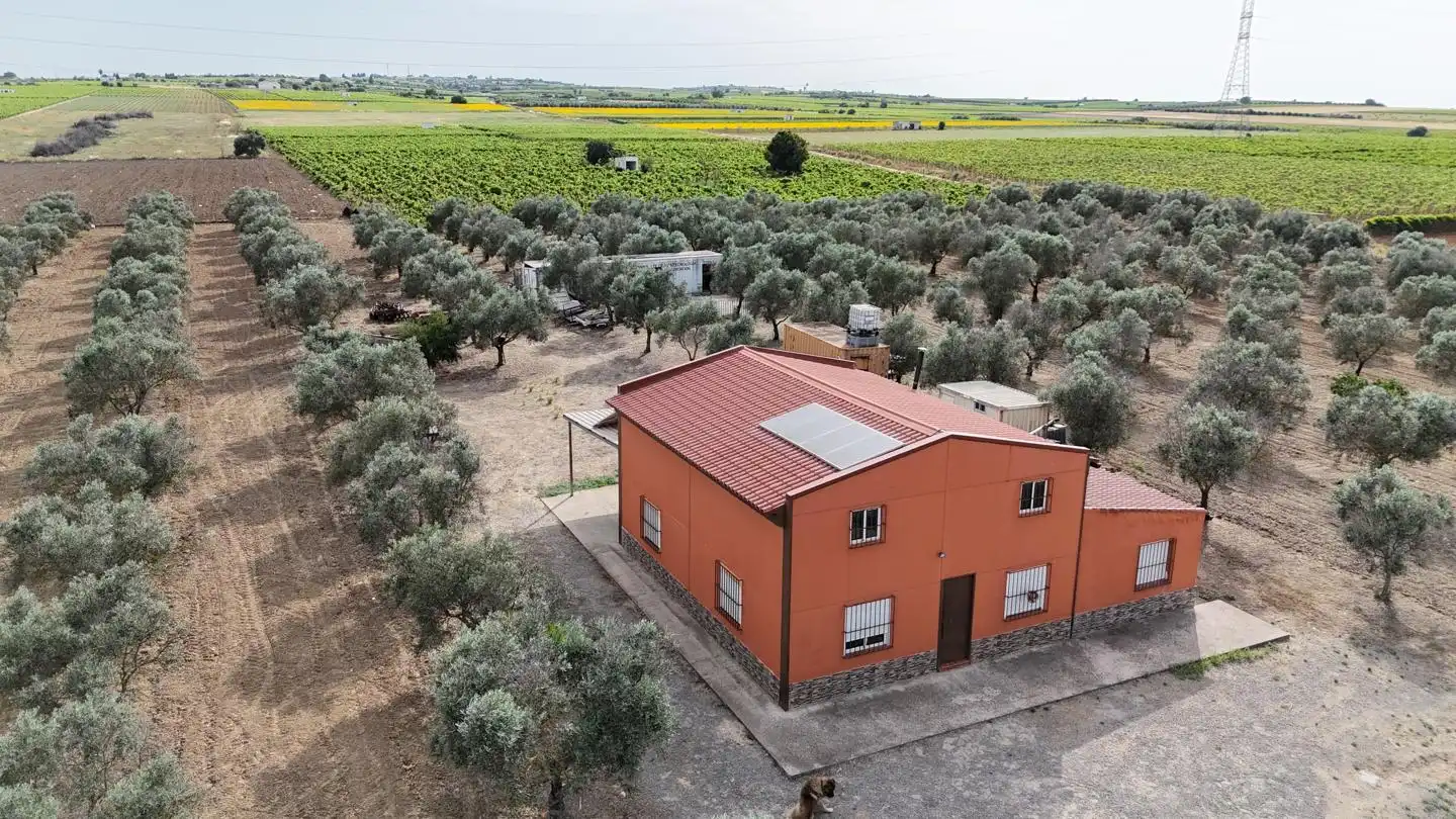 Vista exterior de Finca rústica en venta en Lebrija