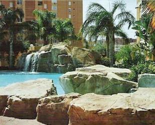 Swimming pool of Flat to rent in Alicante / Alacant  with Air Conditioner, Terrace and Community pool