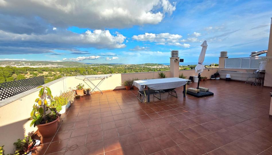 Photo 1 of Attic for sale in  de Valls, Creixell, Tarragona