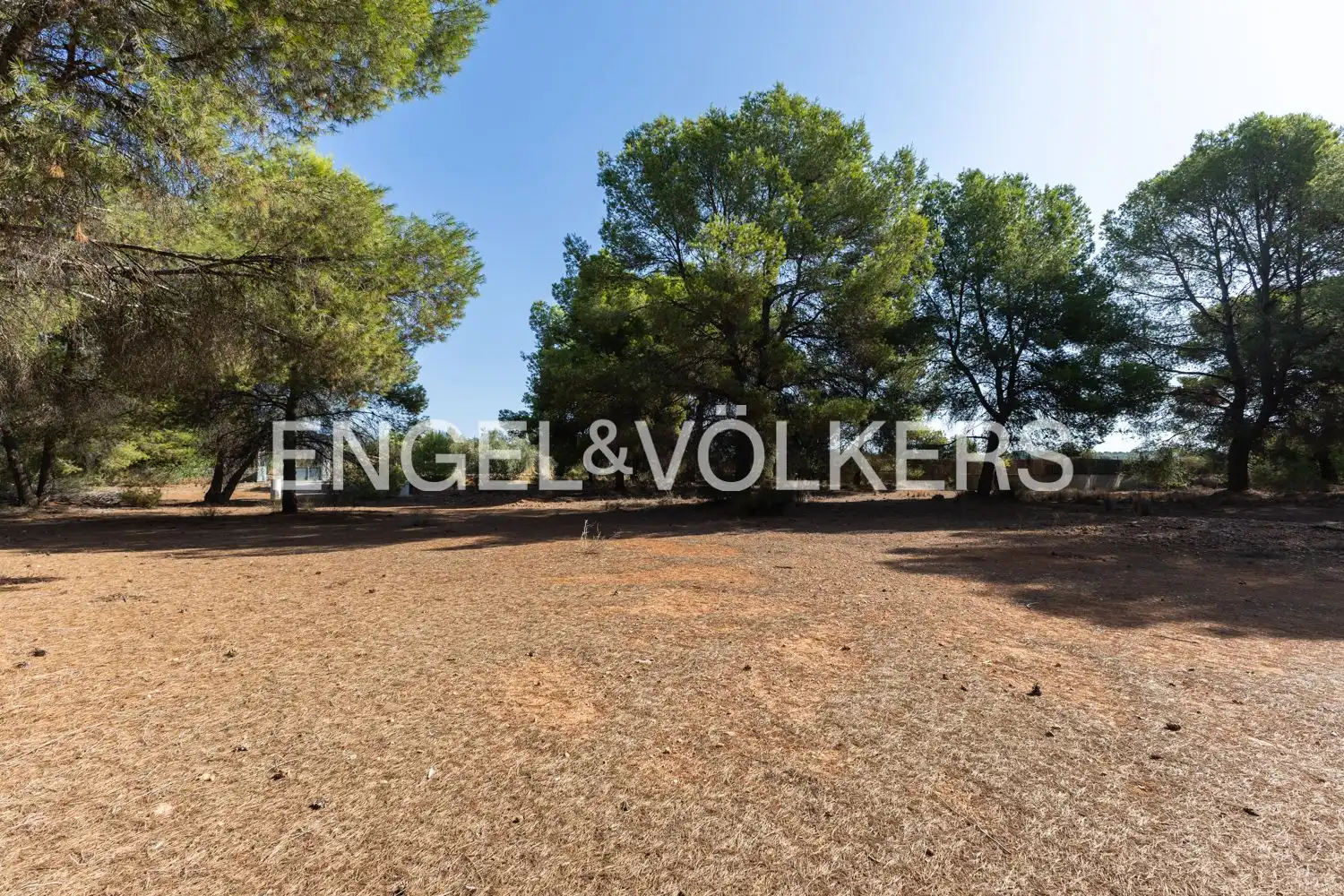 Casa con terrazza in vendita a Los Pinares - La Masia, imagen 24