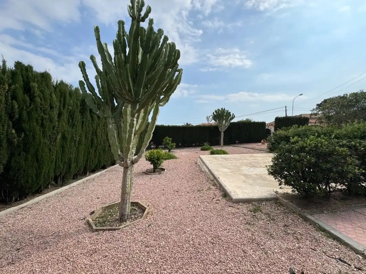 Jardín de Casa o chalet en venta en Rojales con Jardín privado
