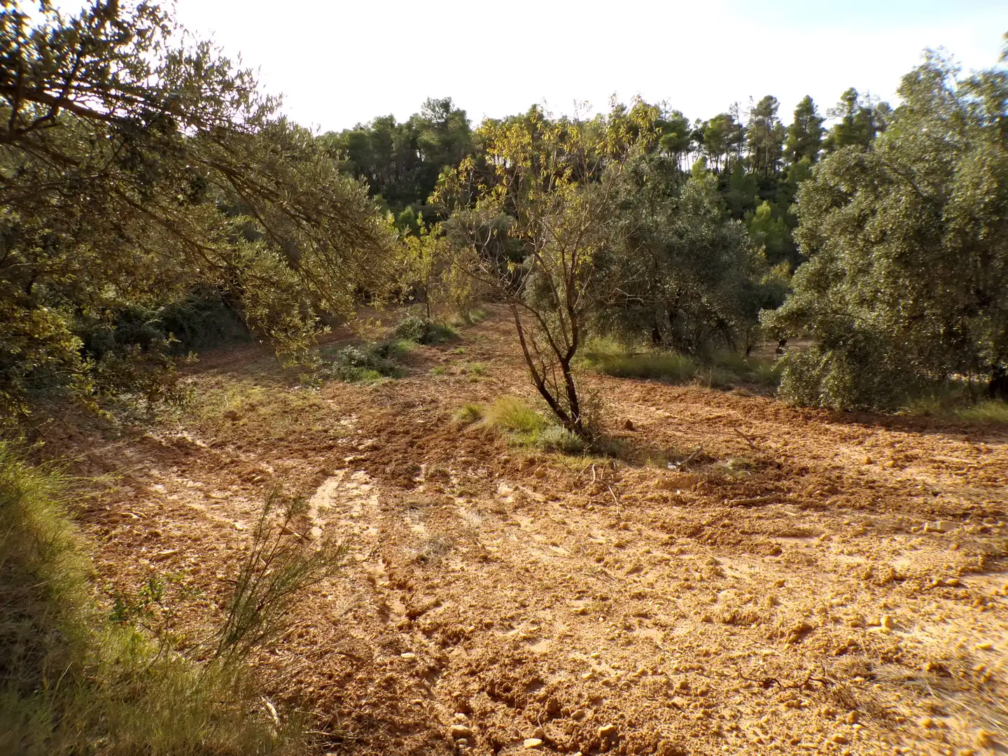 Terreni e lotti in vendita a La Fresneda, imagen 2
