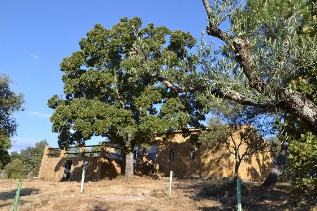 Vista exterior de Finca rústica en venta en Cabeza la Vaca con Terraza, Trastero y Amueblado