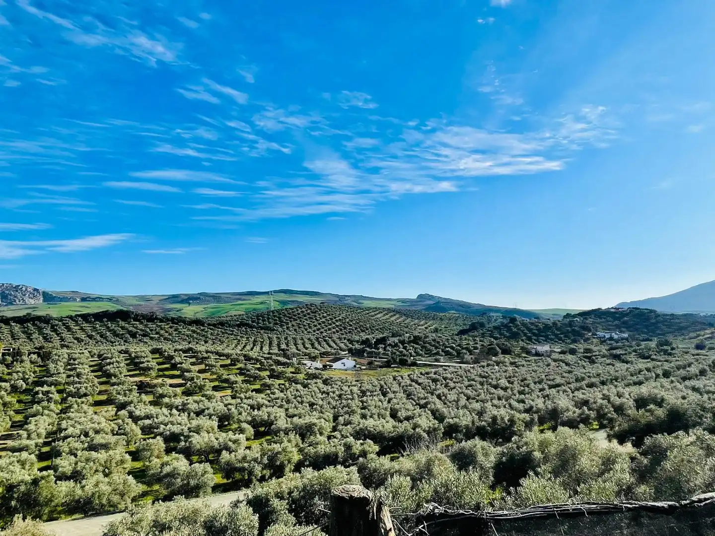 Vista exterior de Finca rústica en venta en Antequera con Jardín privado, Trastero y Piscina