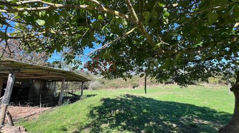 Foto 5 de Casa o chalet en venta en Tuernes el Pequeño, Llanera, Asturias