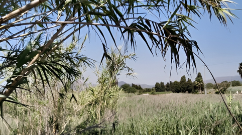 Photo 4 of Residential for sale in Sector Sunp-4 Playa de Sagunto, 29. Parcel, -1, Corinto - Almarda, Valencia