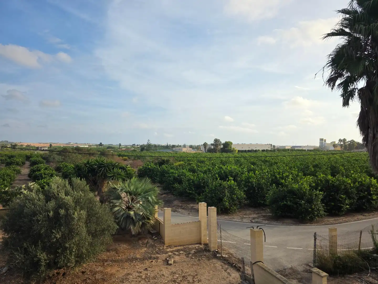 Rural land for sale in Carretera PEREZ LOS, imagen 17