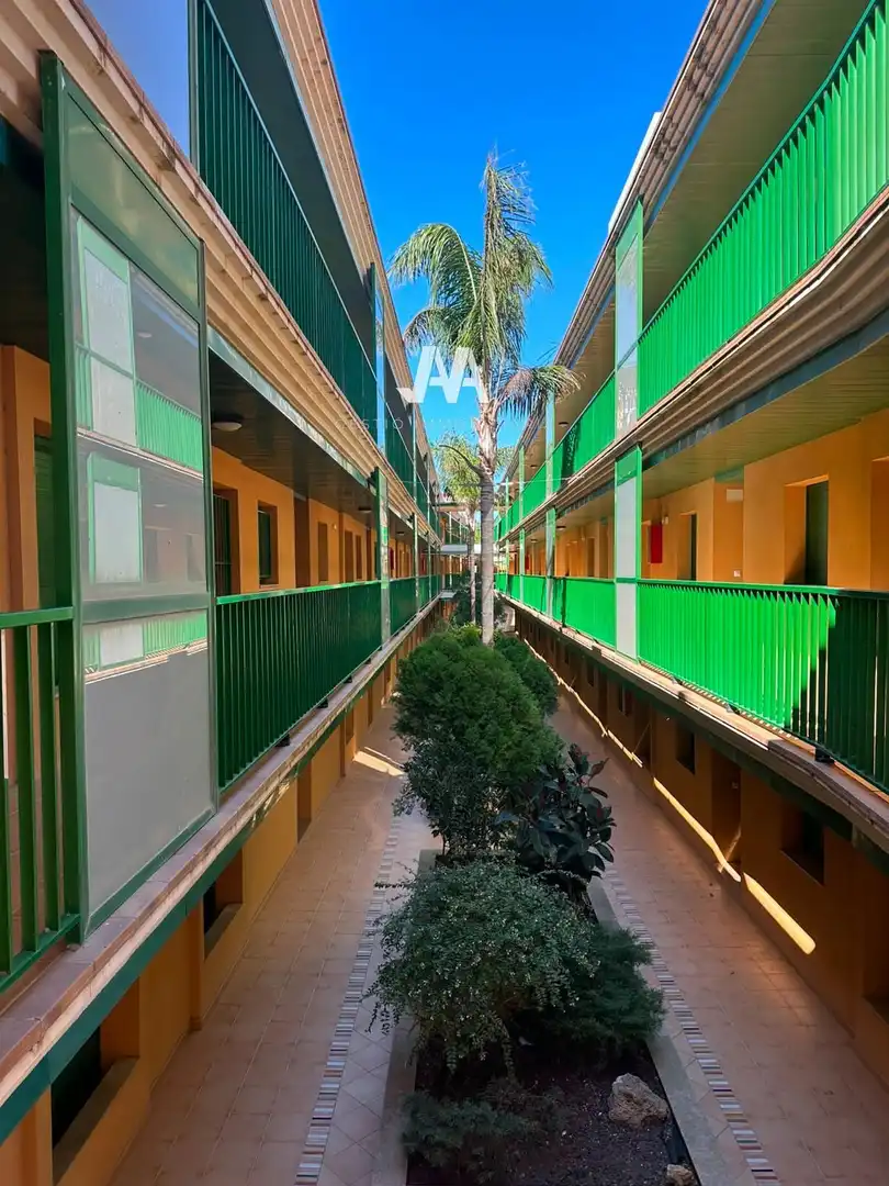 Appartamento con terrazza in vendita a Eucaliptus- Poble Nou del Delta