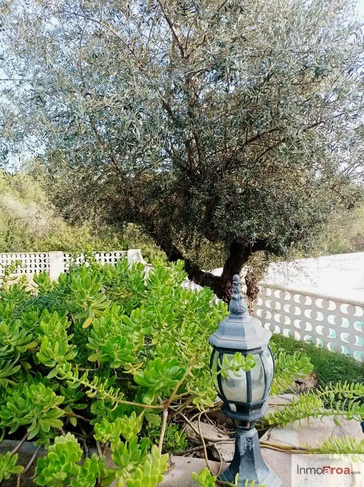 Jardín de Finca rústica en venta en L'Alcora con Aire acondicionado, Terraza y Piscina