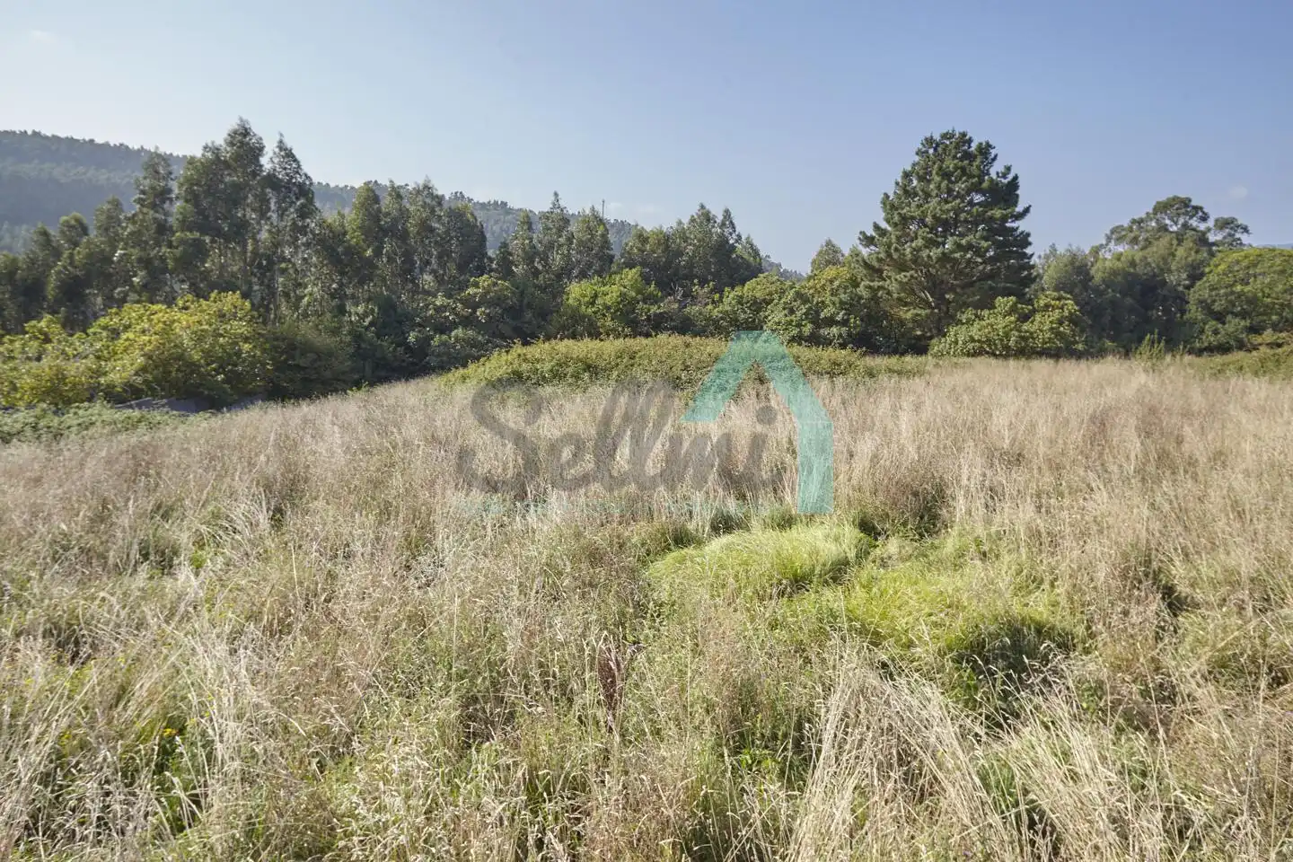 Lands and plots for sale in Aldea Barganaz, imagen 10
