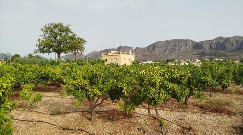 Foto 5 de Finca rústica en venda a Ondara, Alicante