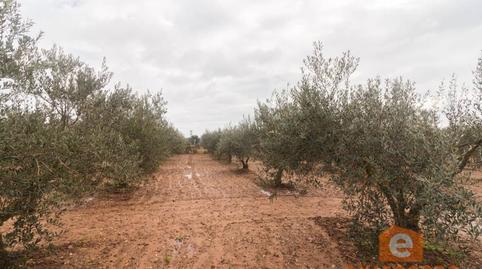 Photo 5 of Residential for sale in Ciudad Jardín, Badajoz
