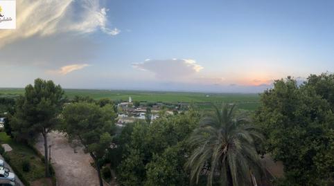 Photo 3 of Flat for sale in Calle Puerto de la Albufera, 7, El Saler, Valencia