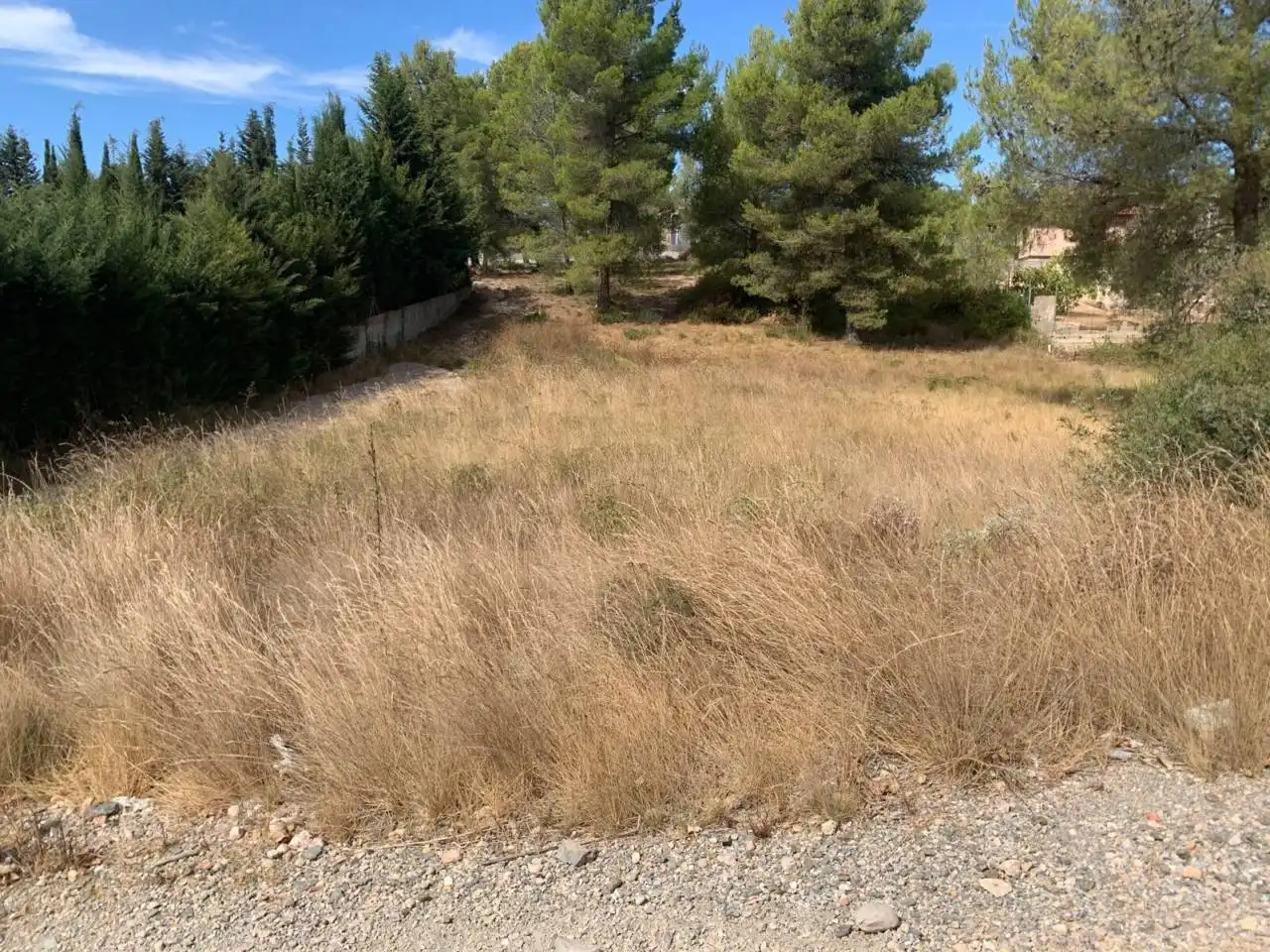 Rural land for sale in Calle Crespia, imagen 5