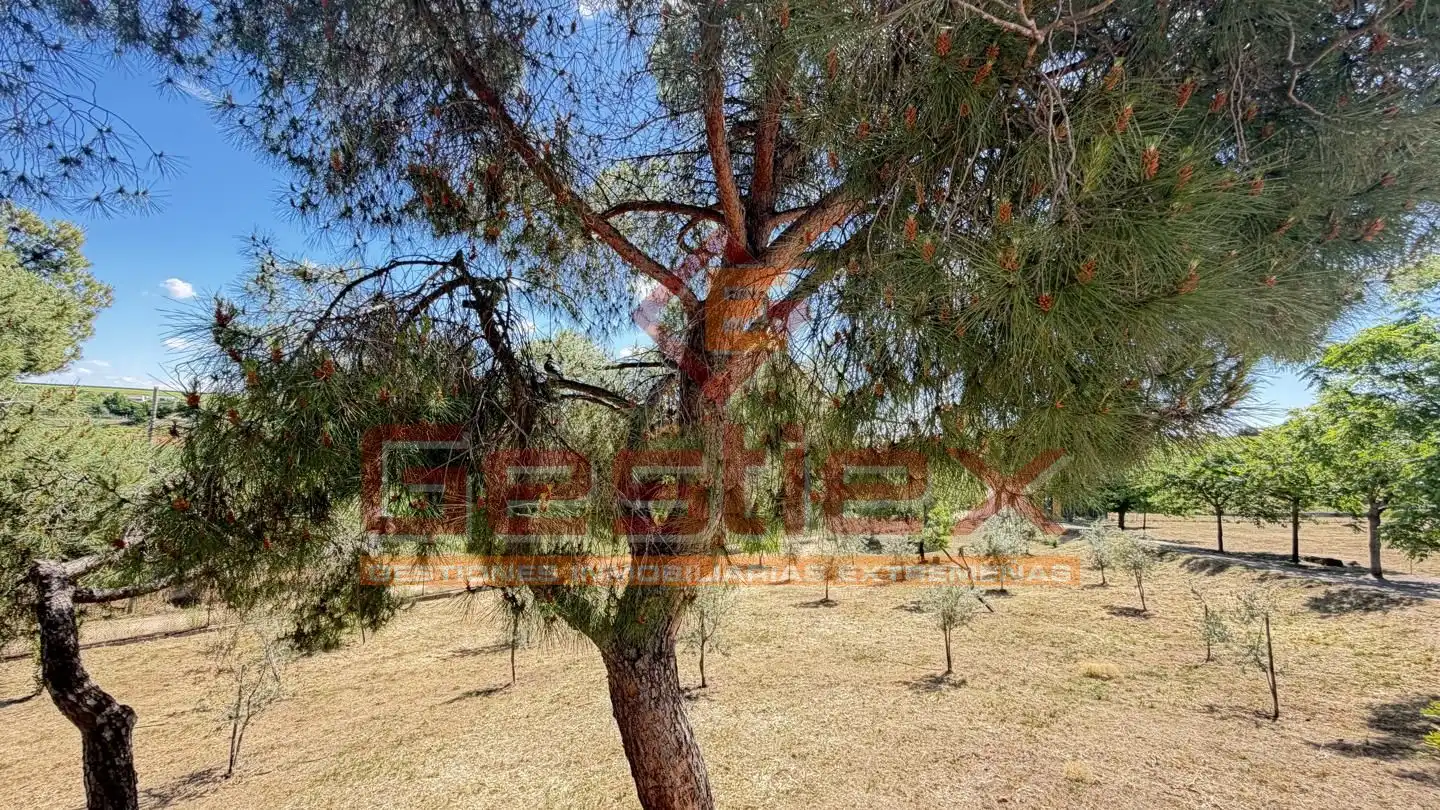 Casa amb piscina en venda a Almendralejo, imagen 59