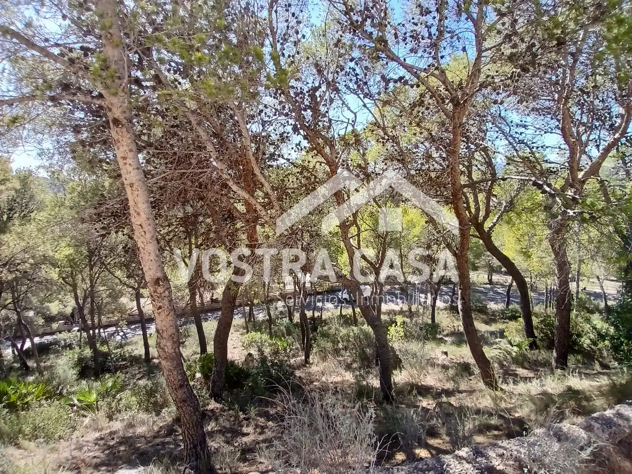 Terreno en venta en Godelleta