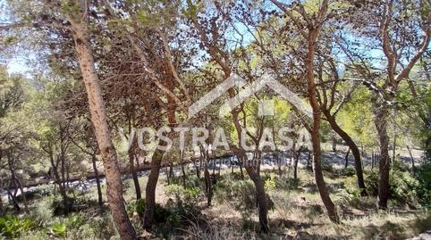 Photo 4 of Land for sale in Dieciseis, -1, Godelleta, Valencia