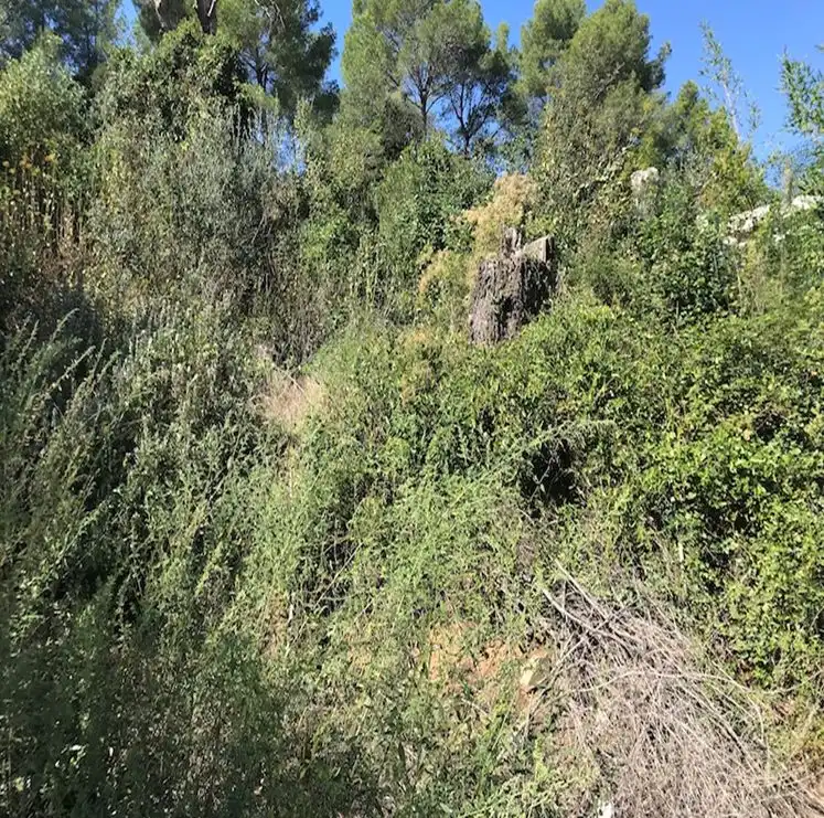 Terreni e lotti in vendita a Riudecanyes, imagen 27