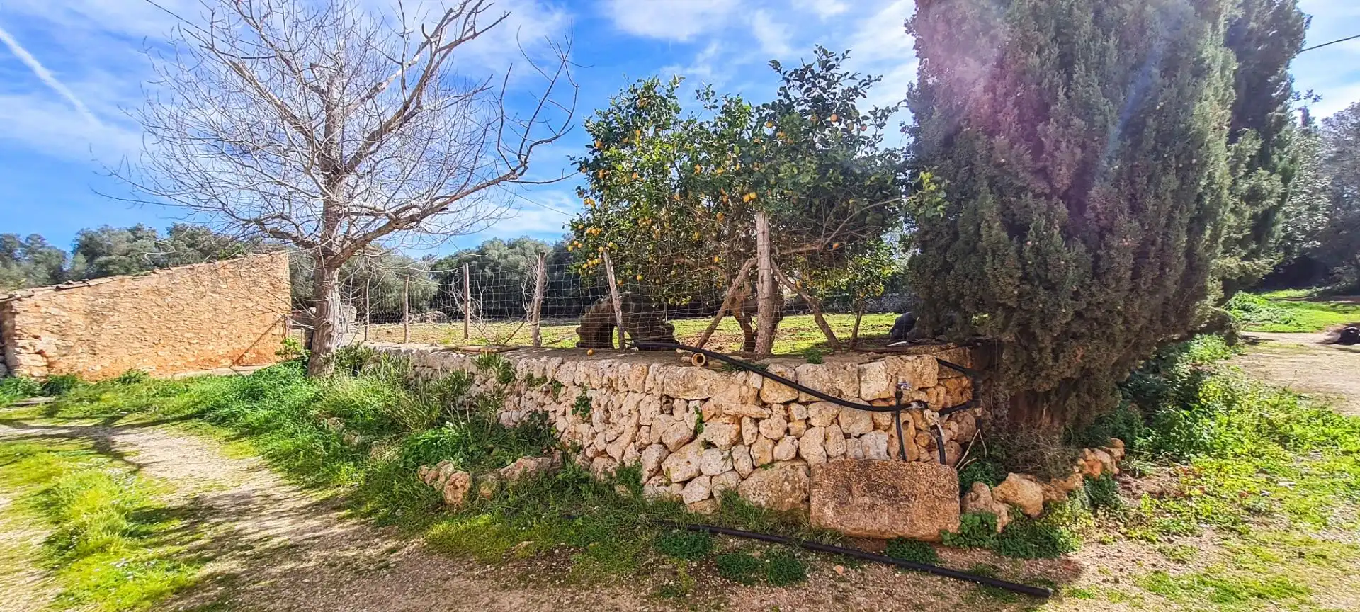 Casa rústica con jardín en venta en Sineu, imagen 21