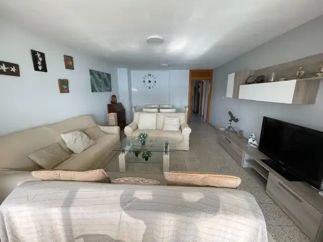 Living room of Flat for rent in Alicante / Alacant  with Air Conditioner, Heating and Furnished