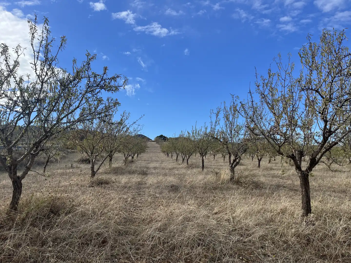 Rustikales Grundstück zum Verkauf in Avenida de Andalucía