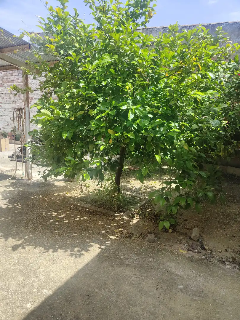 Casa o xalet en venda en Villanueva de la Reina amb Jardí privat