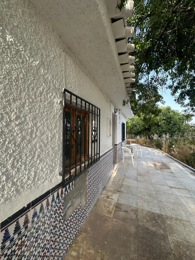 Vista exterior de Finca rústica en venta en Somontín