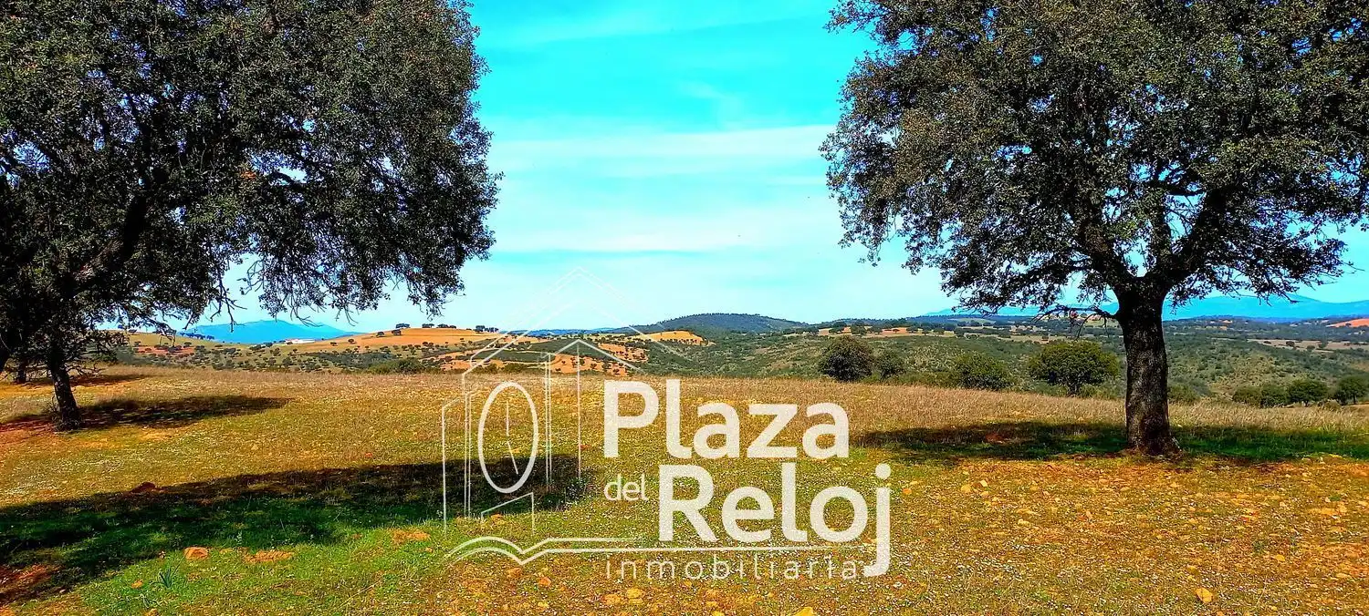 Terreno rustico in vendita a CERVANTES 0, imagen 15