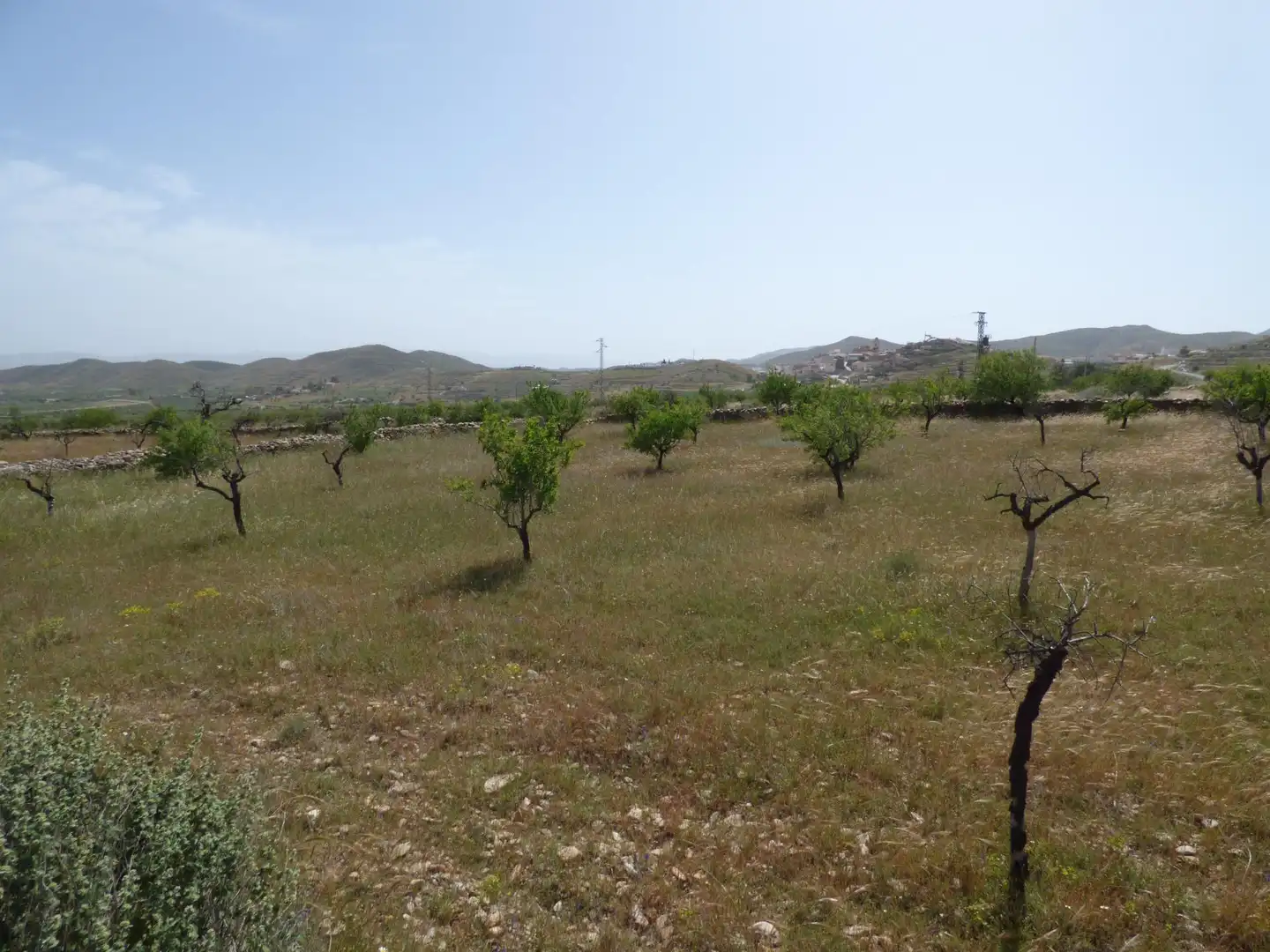 Rustikales Grundstück zum Verkauf in Uleila del Campo, imagen 5
