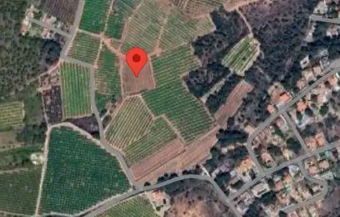 Land for sale in Torres Torres