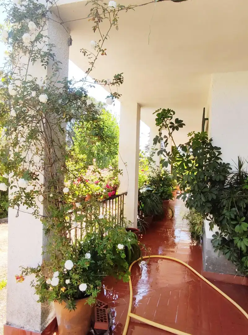 Casa en venda a Beas, imagen 12